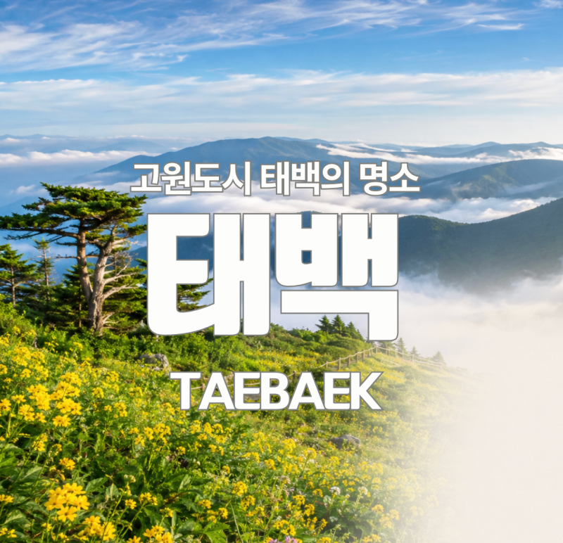 한여름에도 평균 기온 20도, 서울보다 10도 시원한 고원 도시 태백 가볼만한 곳