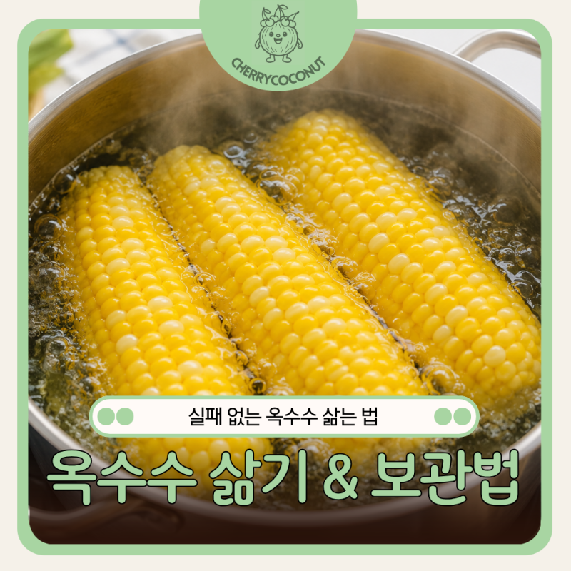 옥수수 삶는시간 완벽정리! 옥수수 맛있게 삶는법부터 찌는법 냉동보관까지