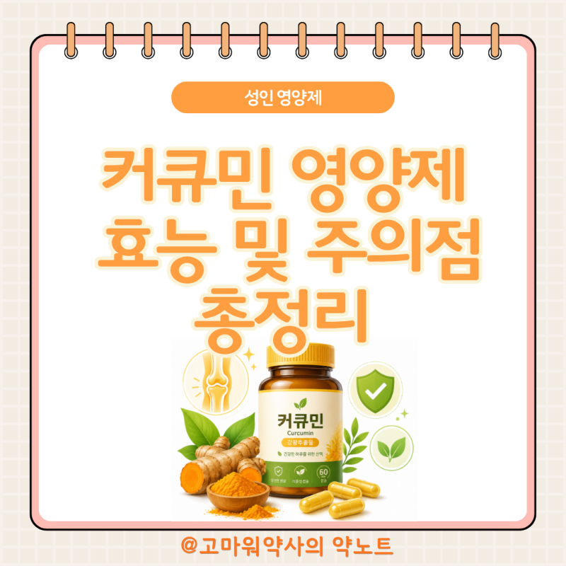 커큐민(강황) 효능·부작용 약사가 정리, 생체이용률부터 항응고제 상호작용까지