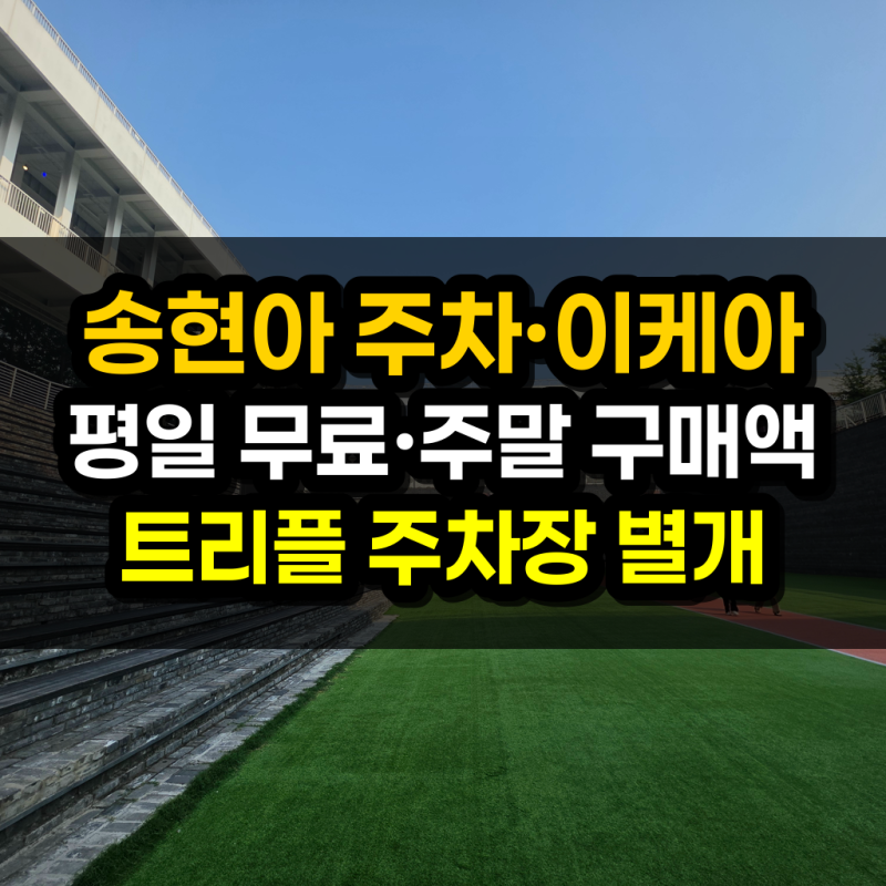 송현아 평일 및 주말 주차·이케아·매장 총정리 | 현대프리미엄아울렛 송도점