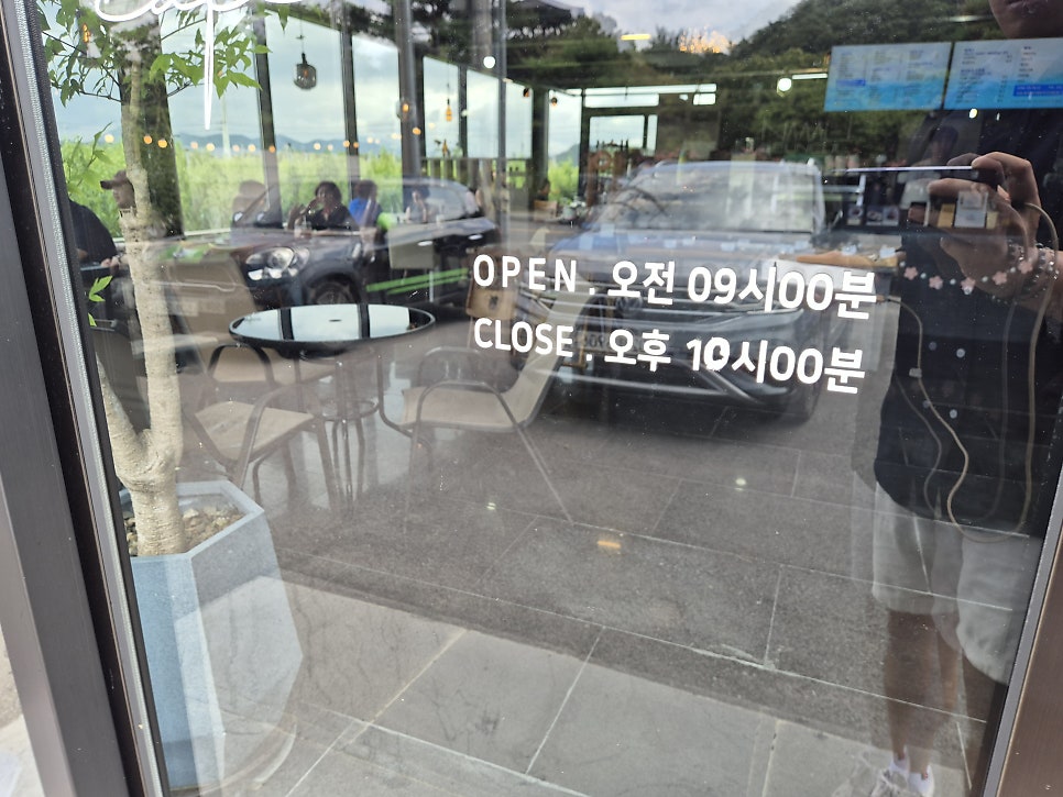 나무그늘 사진 2