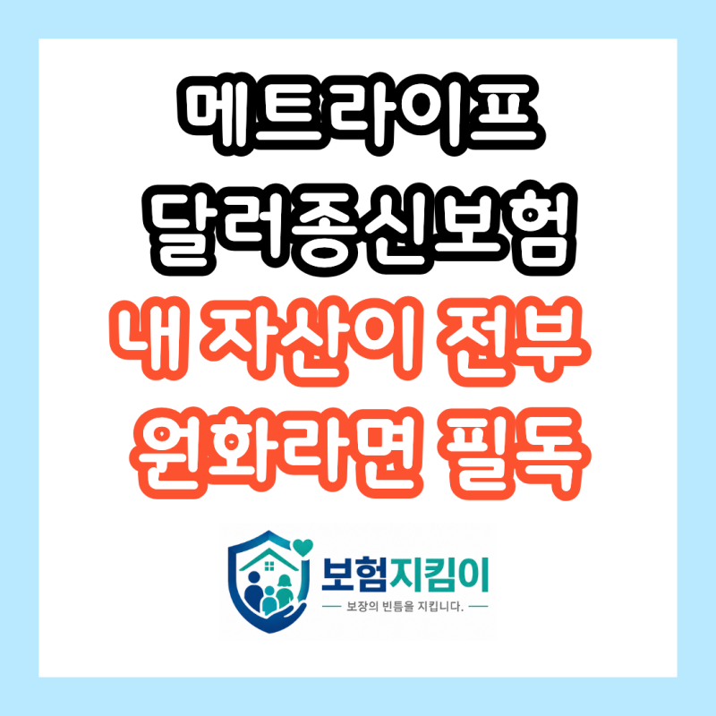 메트라이프 달러종신보험, 원화자산만 있다면 지금 위험할 수 있습니다