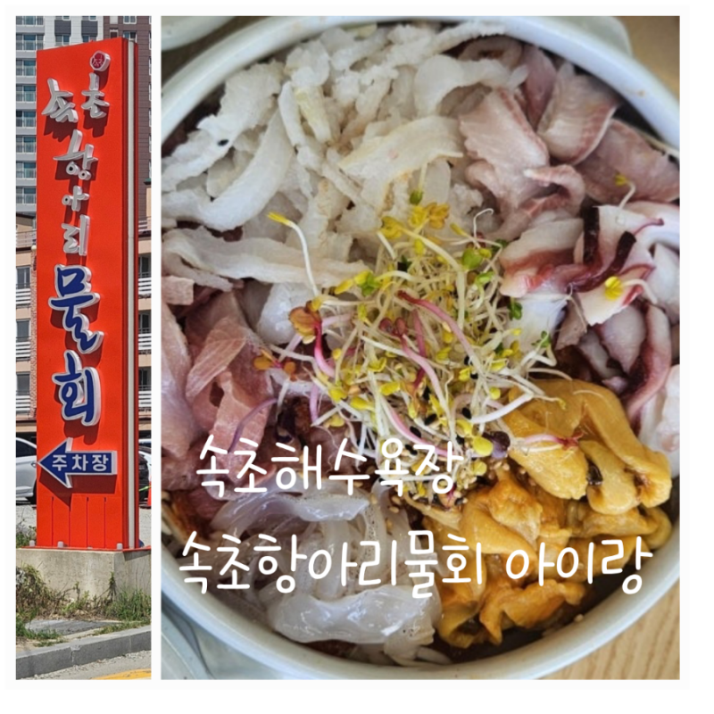 속초 항아리 물회 아이랑 속초해수욕장 속초아이 대관람차 근처 바로 앞 맛집 대형 식당 웨....