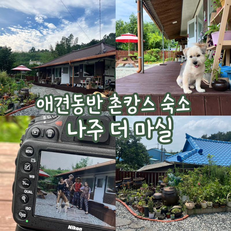 목포 애견동반 숙소 추천 | 나주 더 마실 촌캉스 내돈내산 후기