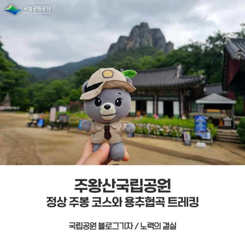 [주왕산국립공원] 정상 주봉 코스와 용추협곡 트래킹