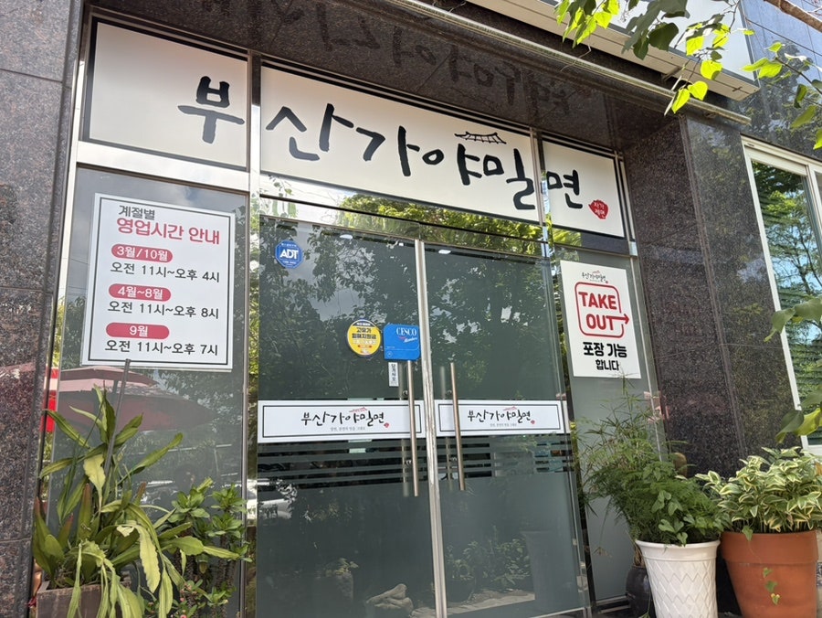 부산가야밀면 사진 5