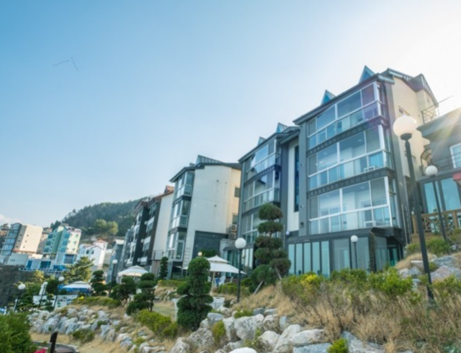 삼척예그리나 사진 4