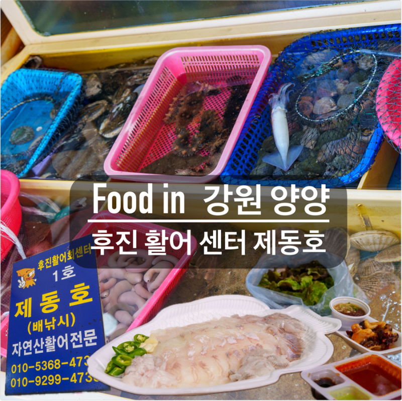 양양 회 포장 추천 [후진 활어 센터 1호 집 제동호] 또 간 회 센터