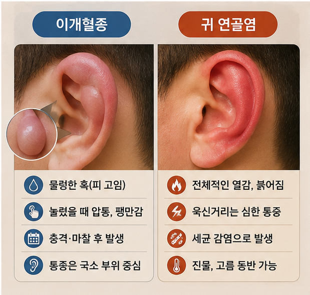 귓바퀴 통증, 이개혈종 및 연골염 증상별 자가진단과 병원 가이드