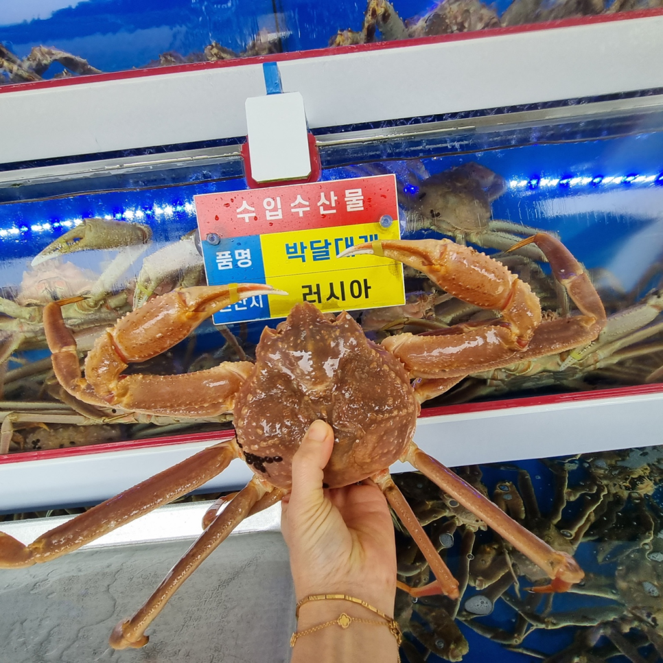 청담대게 사진 3