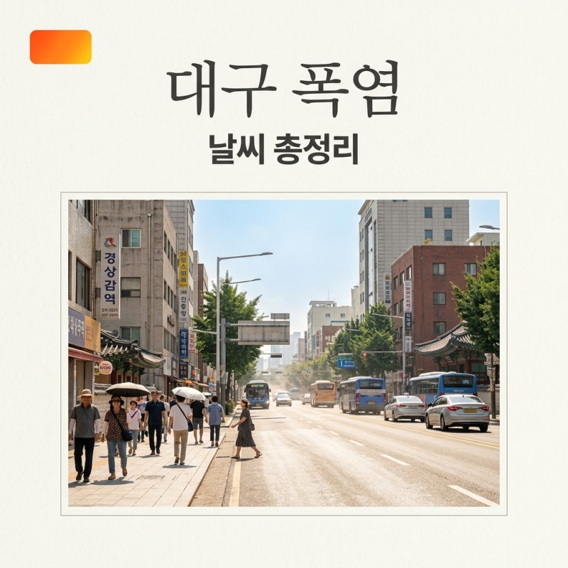 대구 날씨 8월 폭염 주의보! 최고 37도 예보와 소나기 일정 총정리