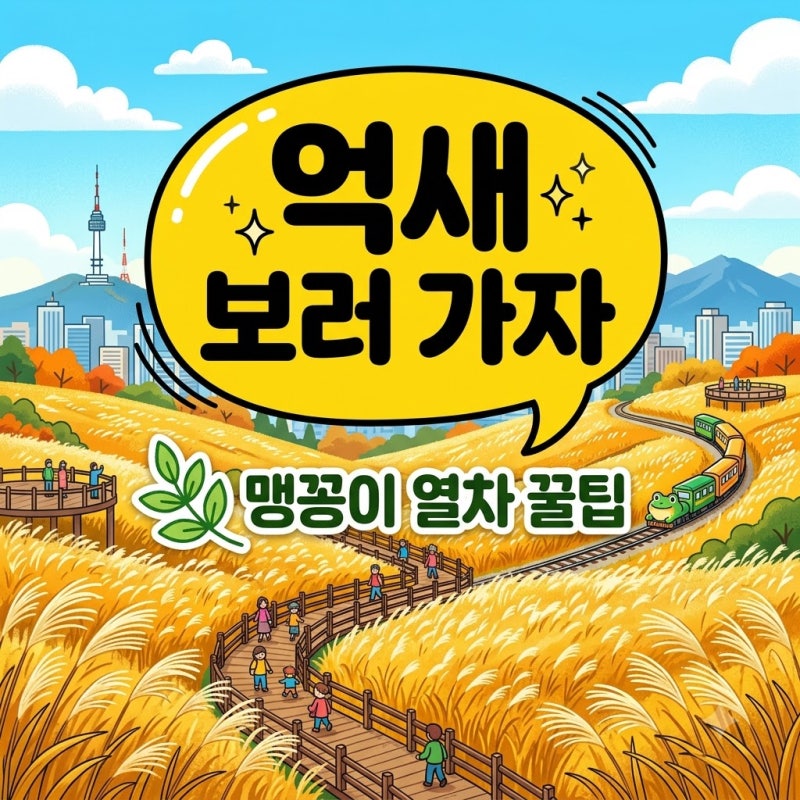 하늘공원 억새 축제 2.3km 숲길과 맹꽁이 열차 주차 정보 총정리
