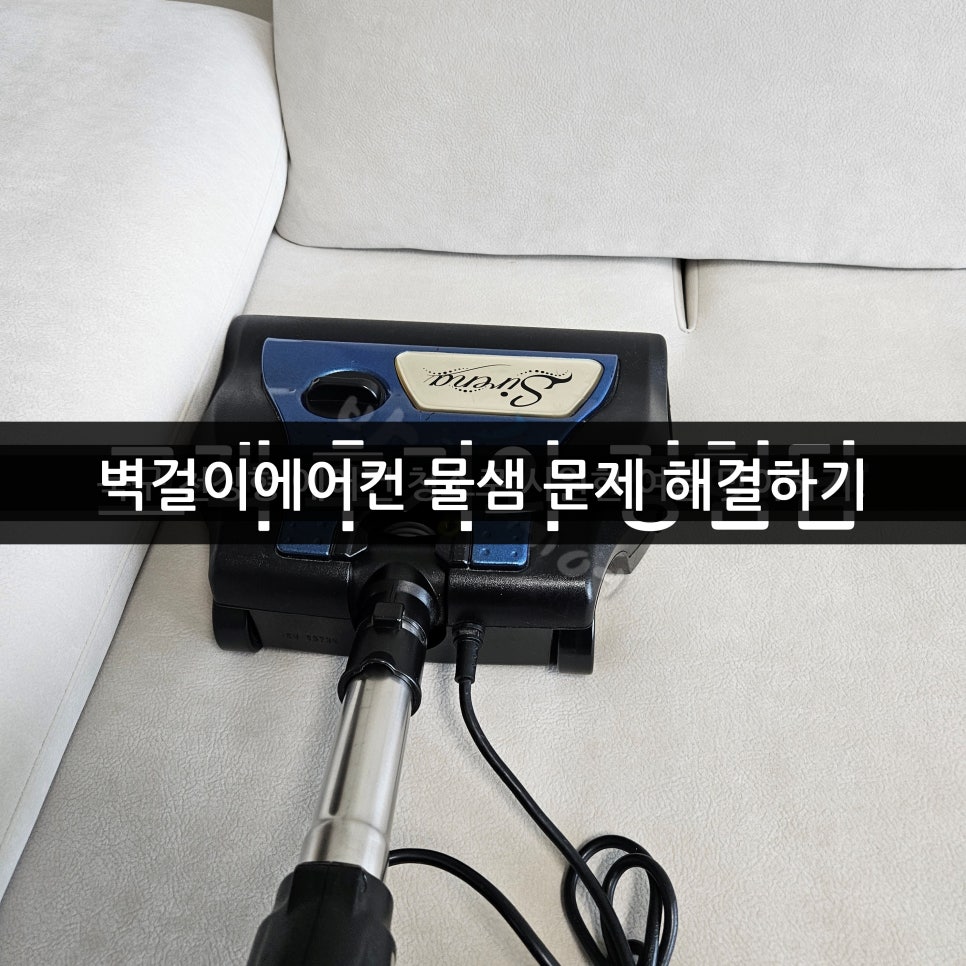 샘 사진 3