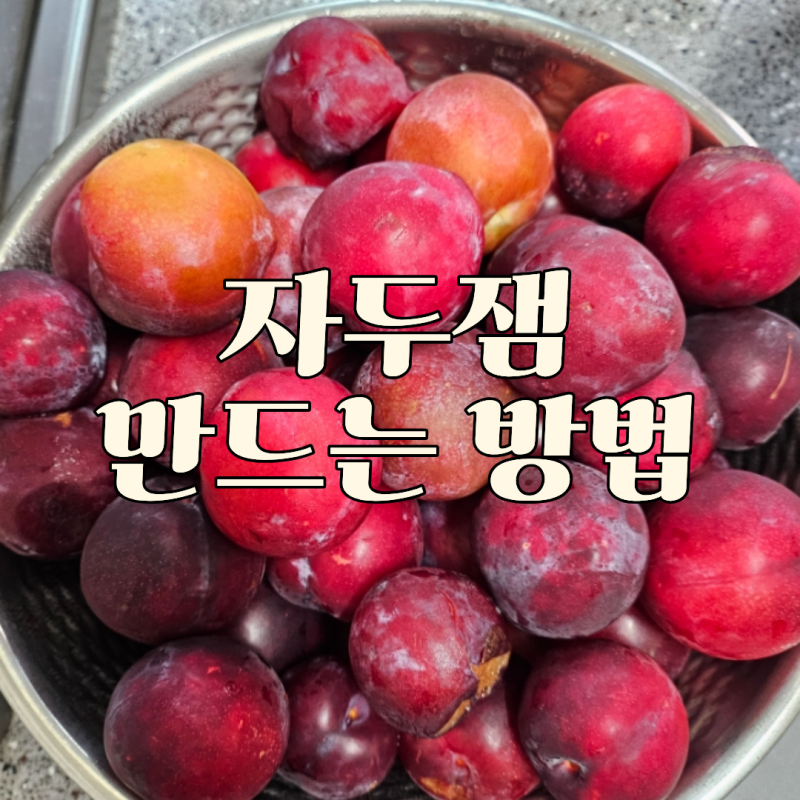 여름 제철 과일 자두로 수제 자두잼 만들기 만드는법 레시피 공유