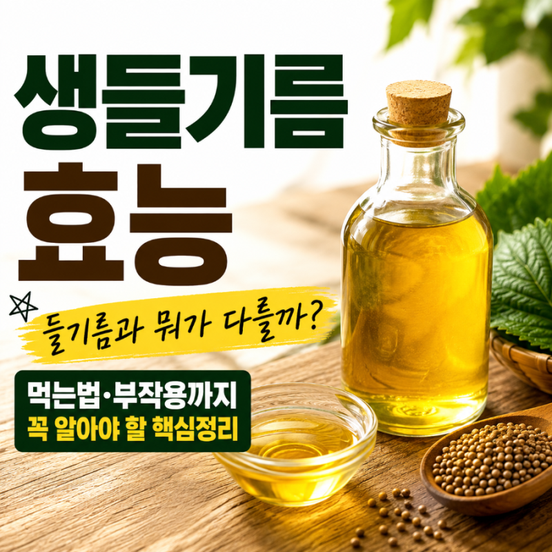 생들기름효능, 들기름과 뭐가 다를까? 먹는법·부작용까지 꼭 알아야 할 핵심정리