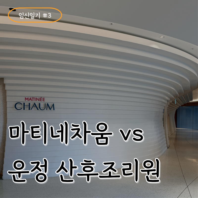 임신일기 #3. 일산차병원 마티네차움 vs 파주 운정 산후조리원 비교 총정리! 산후조리원 선택 ....