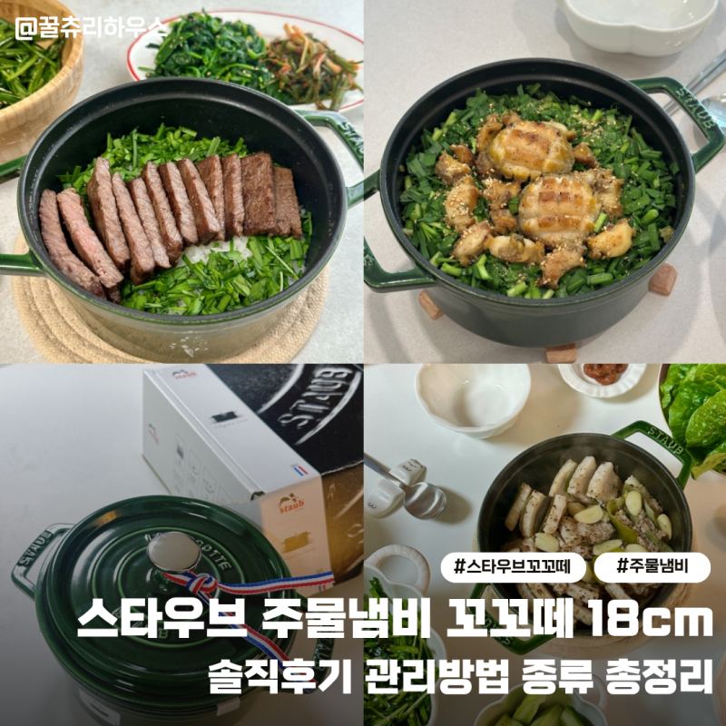 스타우브 주물냄비 후기 장단점 관리방법 종류 총정리