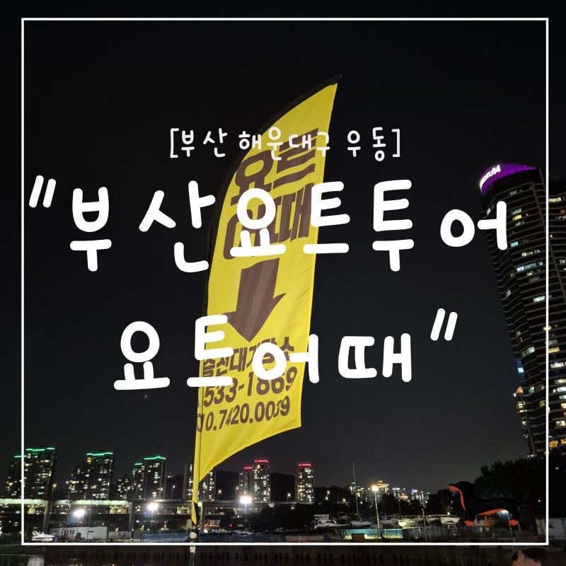 "부산 해운대구" 부산 해운대 야간 요트투어 후기｜요트어때 명당자리 추천! 부산 야경 보며 ....