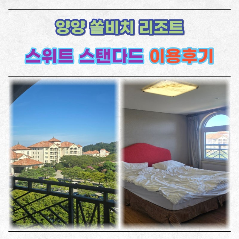 양양 쏠비치 리조트 스위트 스탠다드 이용 후기