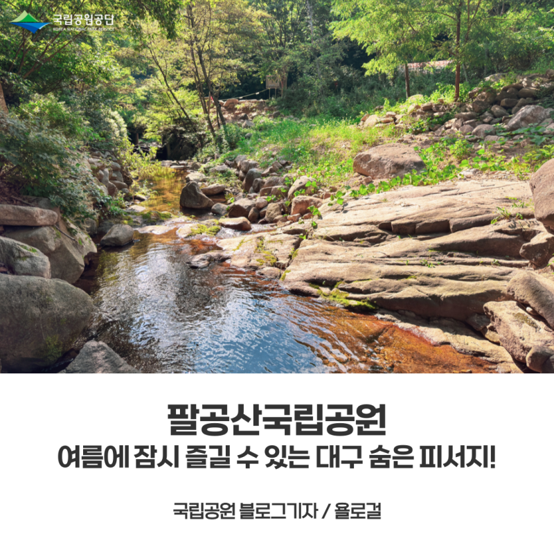 [팔공산국립공원] 팔공산 계곡 출입 한시적 허용! 대구 숨은 피서지 이용방법