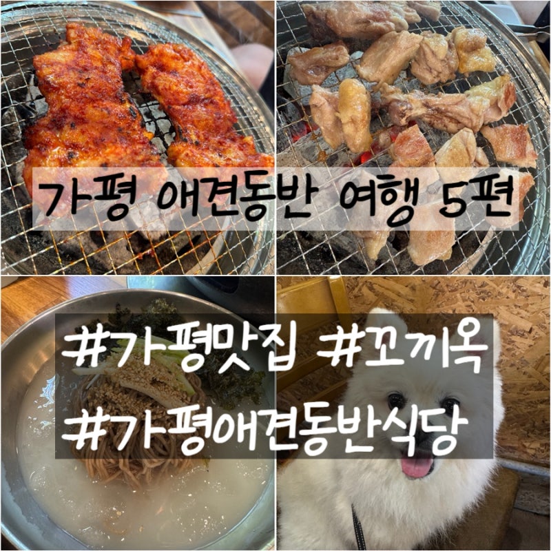 가평 애견동반 여행코스 5편 가평 애견동반 숯불닭갈비 맛집 꼬끼옥