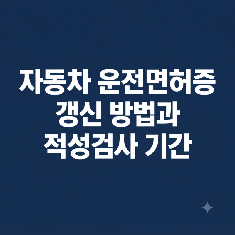 자동차 운전면허증 갱신 방법과 적성검사 기간