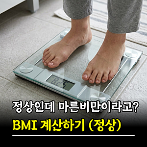"정상인데 마른비만이라고?" BMI 계산하기 남자 여자 BMI지수 (체질량지수)