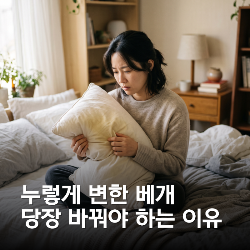 목 통증 줄이는 소재별 베개 교체 주기 확인법과 새 베개 실패 없이 고르는 노하우