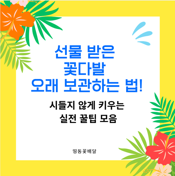 선물 받은 꽃다발 오래 보관하는 법! 시들지 않게 키우는 실전 꿀팁 모음
