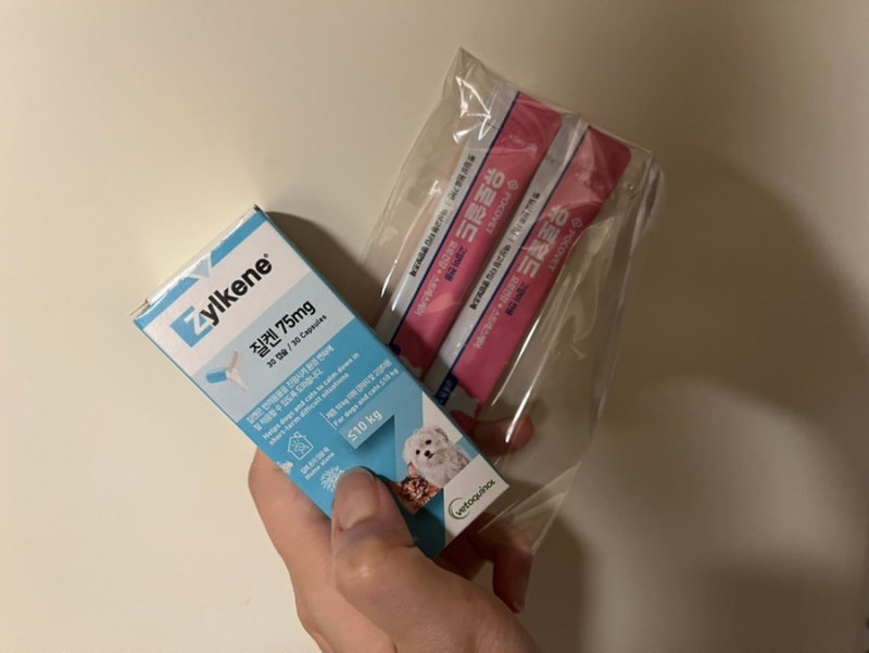 고양이 스트레스 영양제 질켄 급여 시작