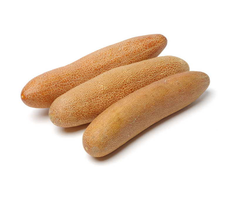 여름 제철 노각 쓴맛 싹 없애는 절이기 공식! 노각무침 황금레시피&효능 보관법