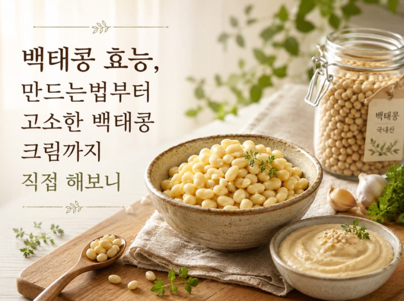 백태콩 효능, 만드는법부터 고소한 백태콩 크림까지 직접 해보니