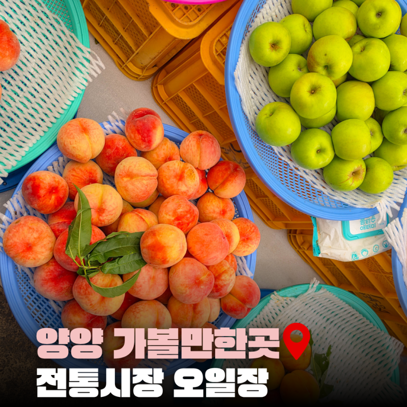 양양 전통시장 오일장｜장날 풍경과 먹거리 총정리