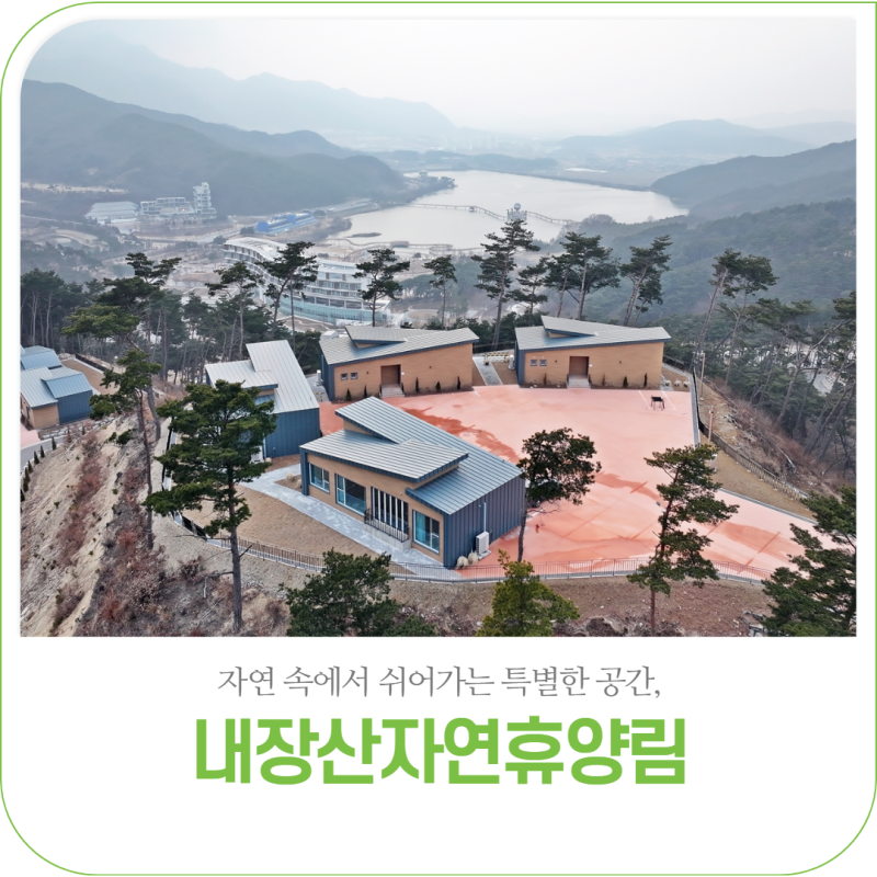 자연 속에서 누리는 온전한 휴식! 「내장산 자연휴양림」