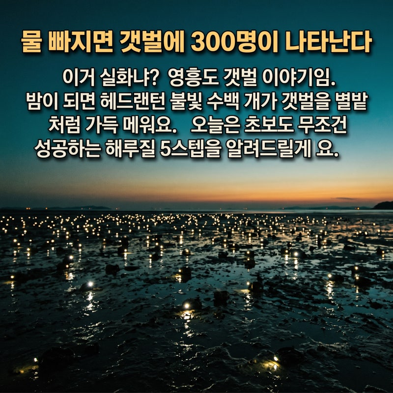 물 빠지면 갯벌에 300명이 나타난다 (해루질 실화냐)