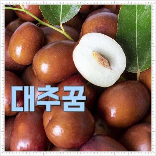 대추꿈 해몽 대추따는꿈 재물운 상승 풀이 모음