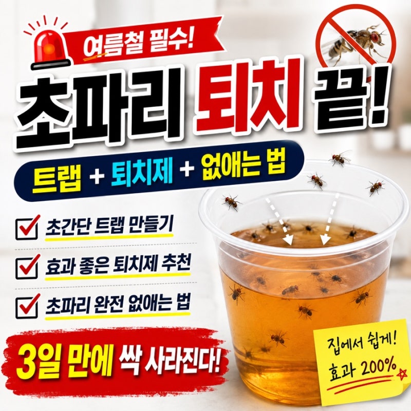 초파리 트랩 효과 있을까? 퇴치제부터 없애는 법까지 한 번에 정리!