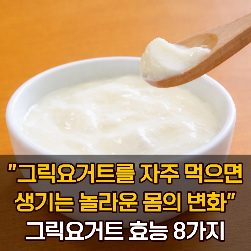 그릭요거트를 먹으면 나타나는 놀라운 몸의 변화! 그릭요거트 효능 7가지