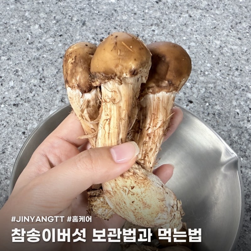 참송이버섯 보관법과 먹는 법, 제대로 알고 드세요