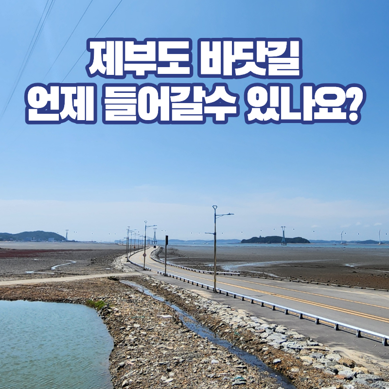 서해섬 제부도 바닷길 통행시간 물때표만 보면 되나요?