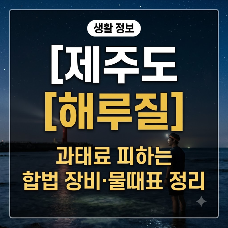 [제주도 해루질] 과태료 피하는 합법 장비와 물때표 보는 법 정리