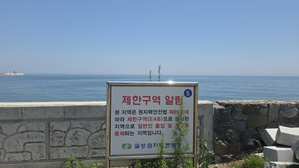 동해바다 사진 1