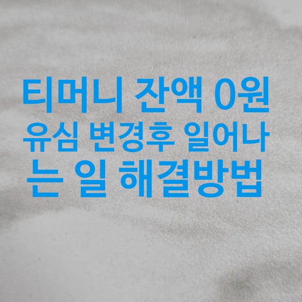 티머니 잔액 0원 유심 변경 후 일어나는 일 해결 방법 알아보기