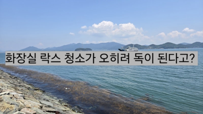 화장실 락스 청소가 오히려 독이 된다고? 화학자가 추천하는 천연 청소 꿀팁