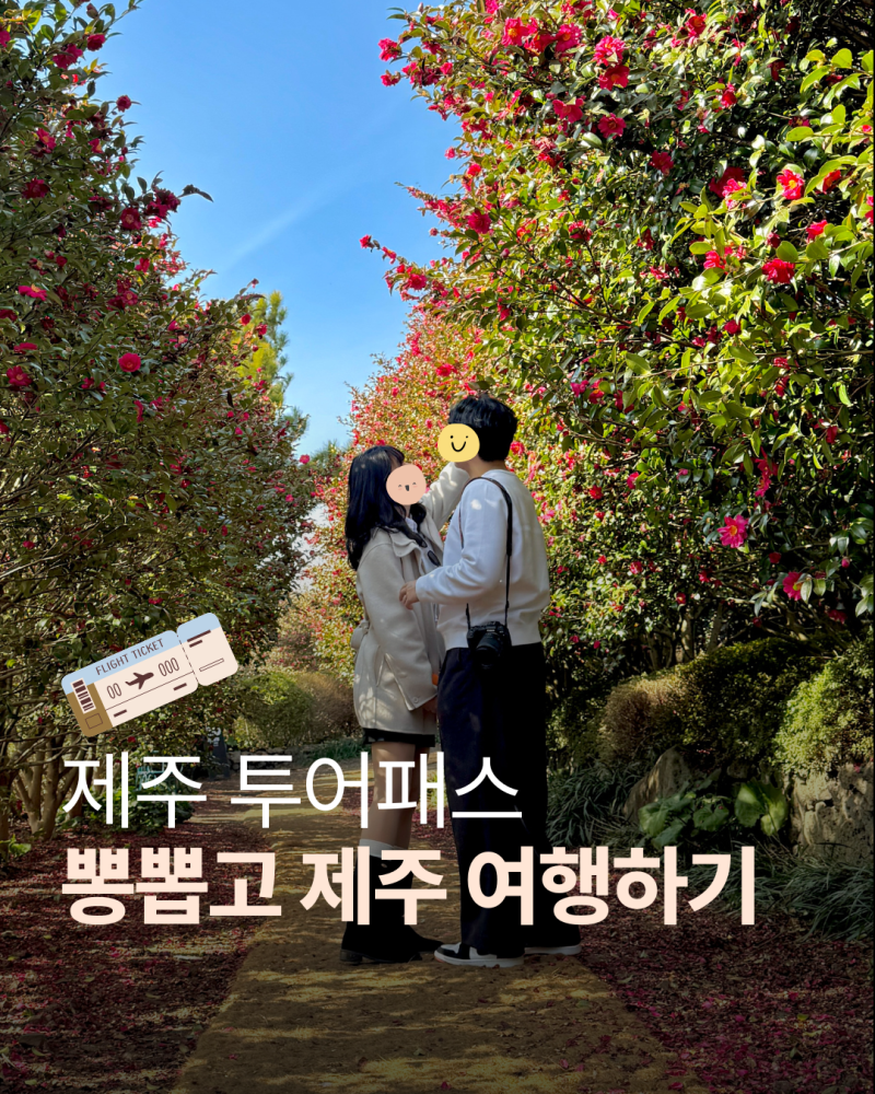 제주 투어패스 사용 방법 뽕뽑는법 | 제주도 여행 지도 동부 서부 일정 사용처