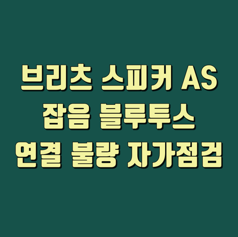 브리츠 스피커 AS 잡음 블루투스 연결 불량 자가점검