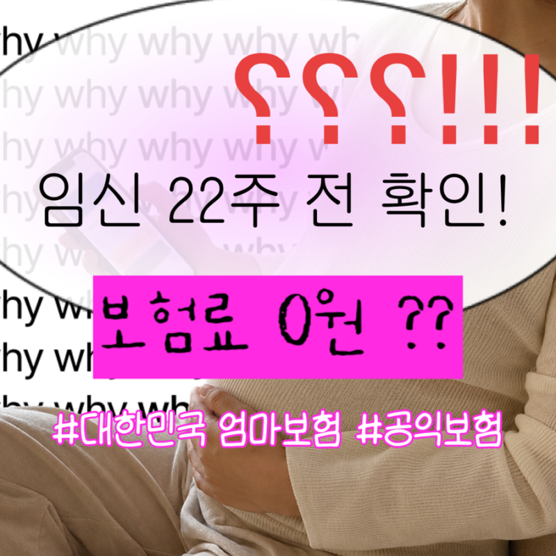 대한민국 엄마보험 보험료 0원? 임산부 무료보험 가입방법, 보장내용 총정리
