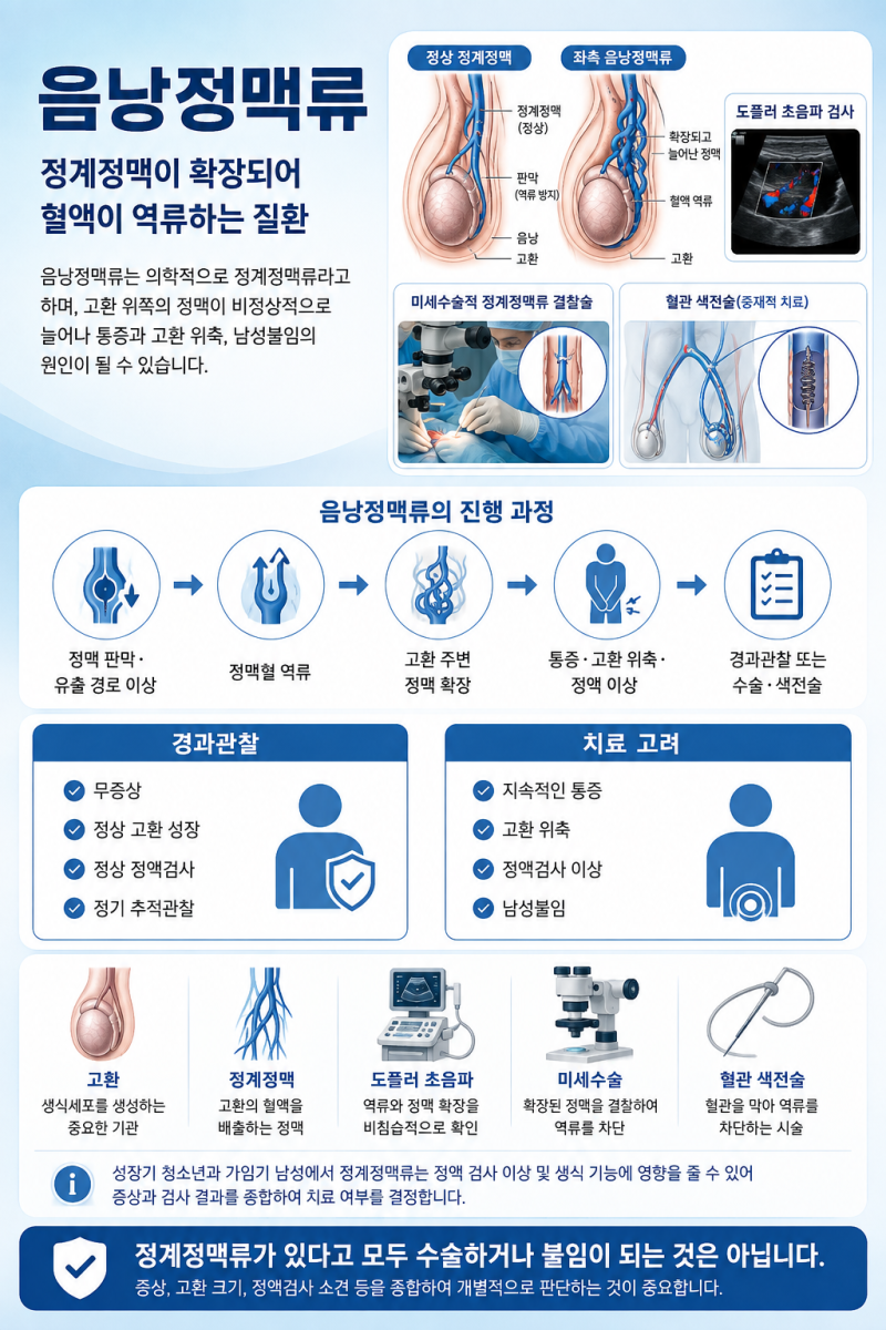 음낭정맥류(정계정맥류), 남성 불임의 가장 흔한 원인 중 하나