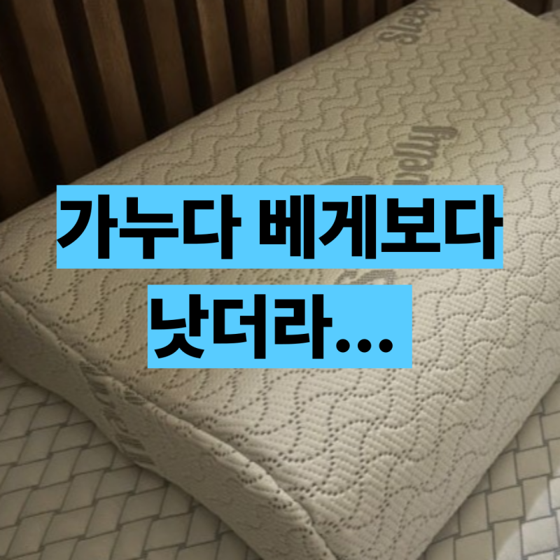 슬립웰리 베게 솔직후기 경추베게 중 제일 낫다 20만원짜리 필요없음