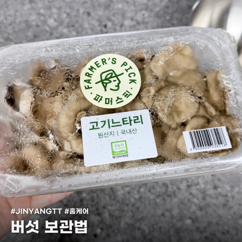 버섯 보관법, 그냥 냉장고에 넣지 마세요! 보관법과 섭취기한